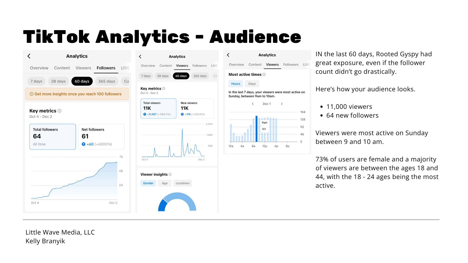 A screenshot of the TikTok analytics for Rooted Gypsy Repertoire