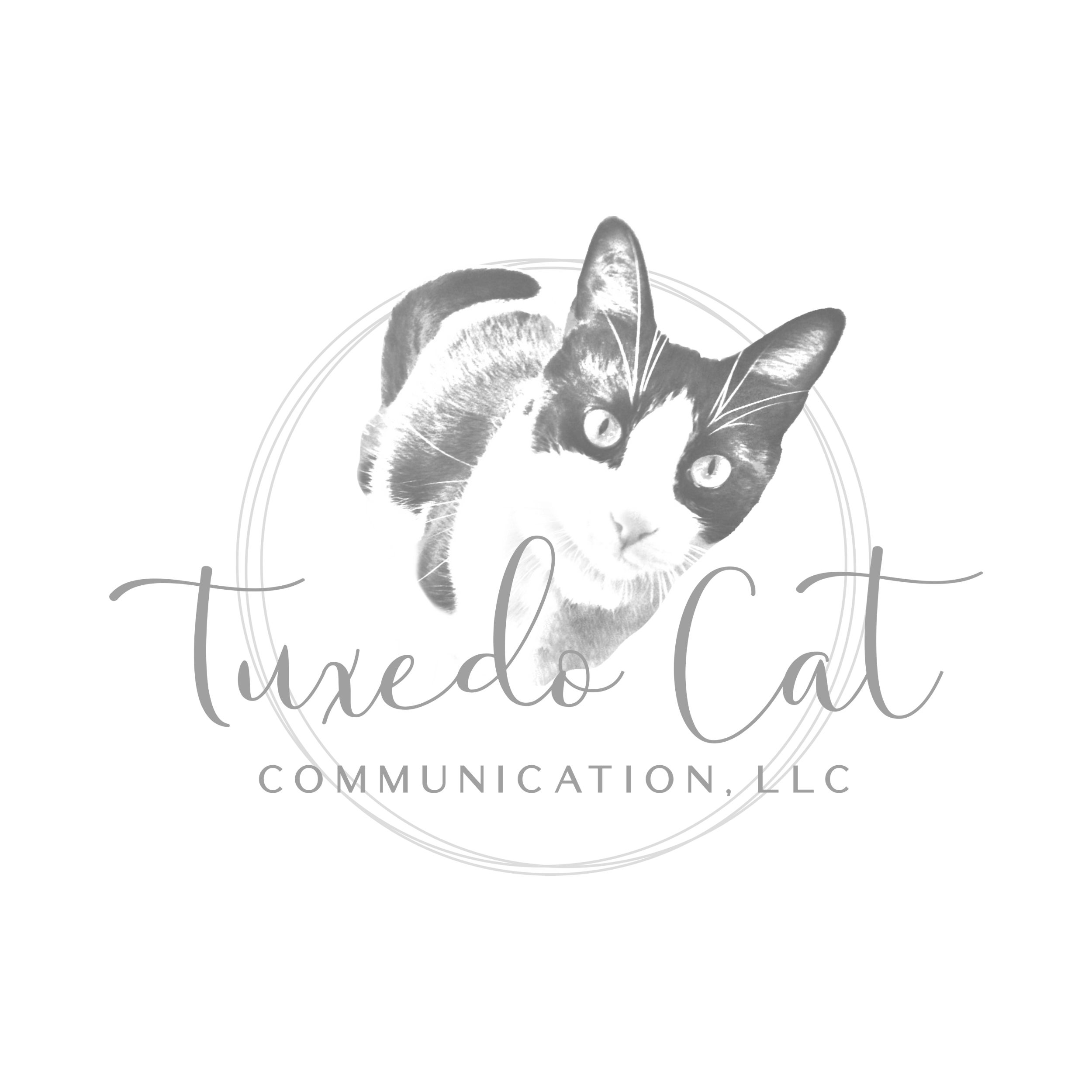 Tuxedo Cat Communications